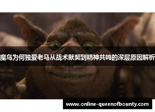 魔鸟为何独爱老马从战术默契到精神共鸣的深层原因解析